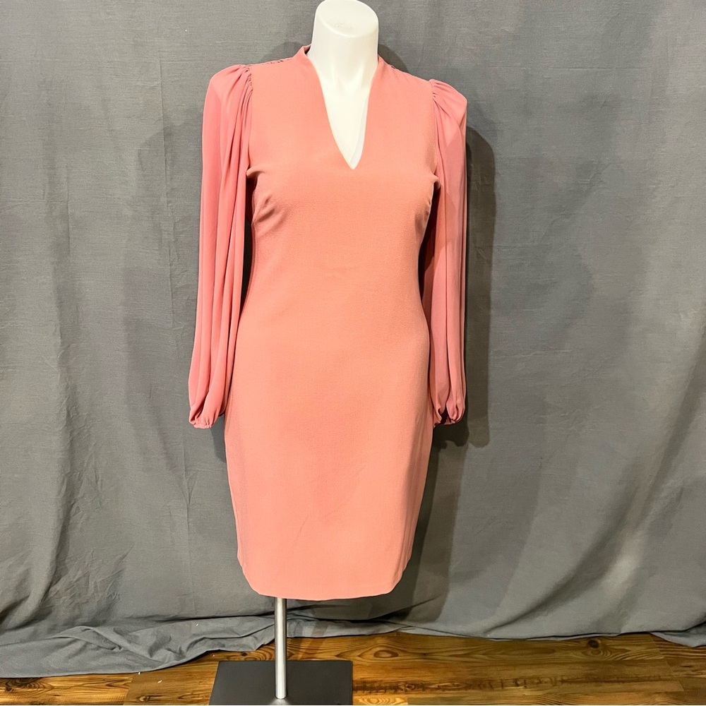 Vince Camuto Blush Long Sleeve Dress
